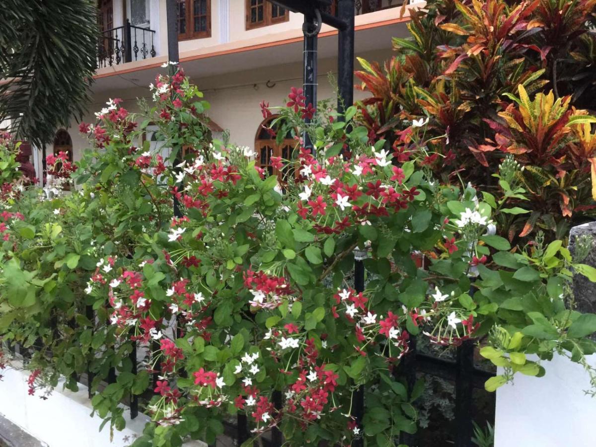 Senthil Complex Hotel Jaffna Eksteriør billede